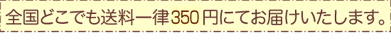 全国どこでも送料一律350円にてお届けします。